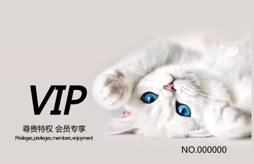 寵物貓VIP會員卡模板下載